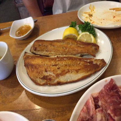 Fish